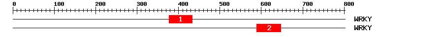 Signature Domain