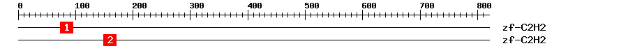 Signature Domain