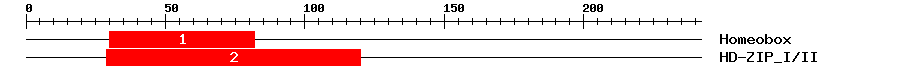 Signature Domain