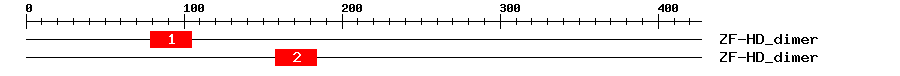 Signature Domain
