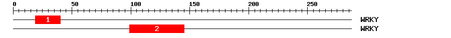 Signature Domain