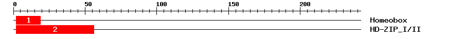 Signature Domain
