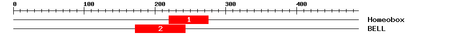Signature Domain
