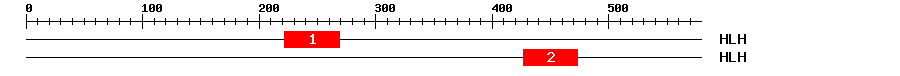 Signature Domain
