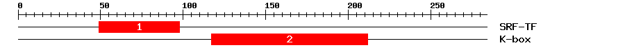 Signature Domain