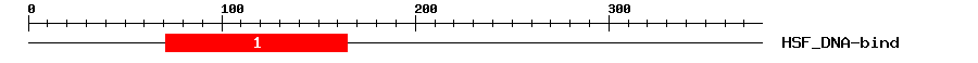 Signature Domain