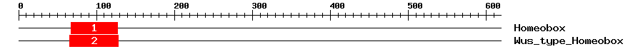 Signature Domain