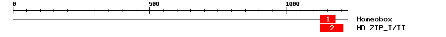 Signature Domain