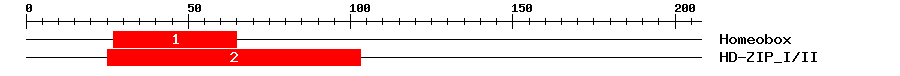 Signature Domain