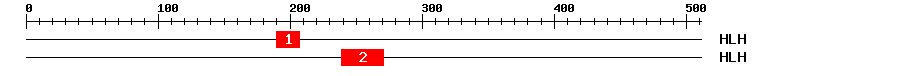 Signature Domain