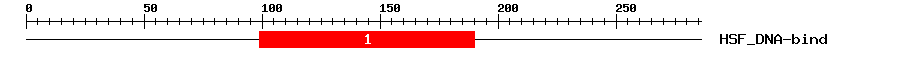 Signature Domain
