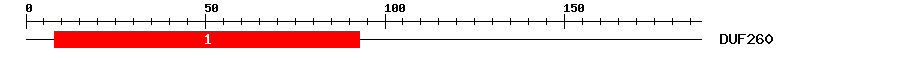 Signature Domain