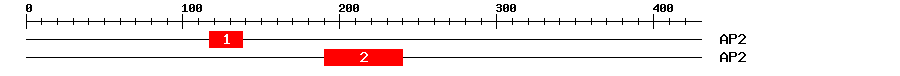 Signature Domain