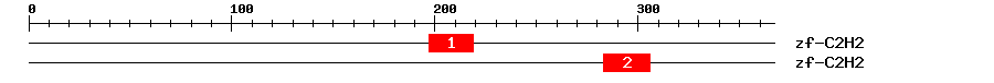 Signature Domain