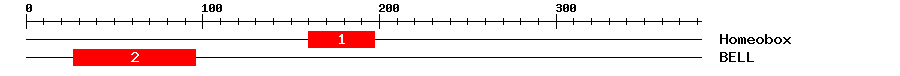Signature Domain