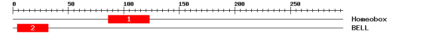 Signature Domain