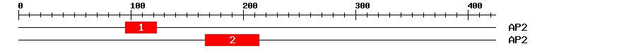 Signature Domain