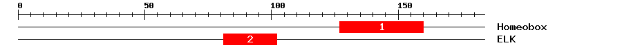 Signature Domain