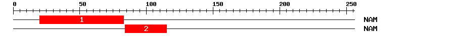 Signature Domain