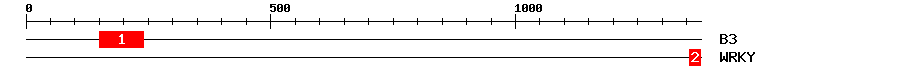 Signature Domain