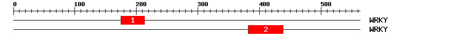 Signature Domain