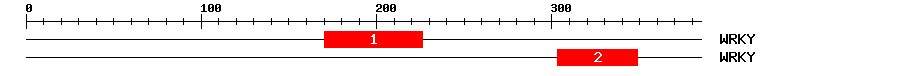 Signature Domain