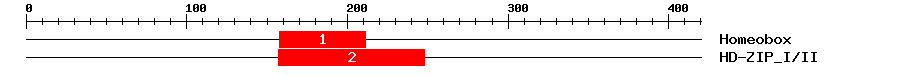 Signature Domain