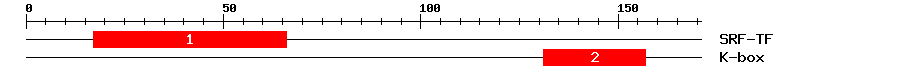 Signature Domain