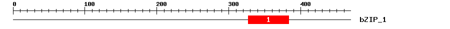 Signature Domain