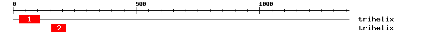 Signature Domain