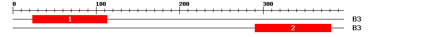 Signature Domain