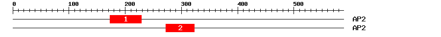 Signature Domain