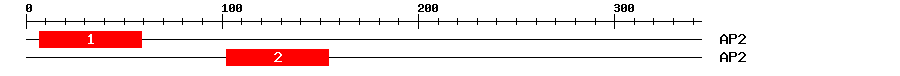 Signature Domain