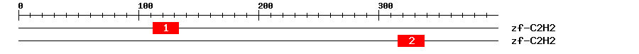 Signature Domain