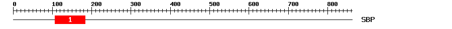 Signature Domain