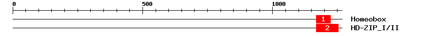 Signature Domain