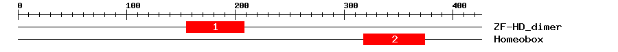Signature Domain