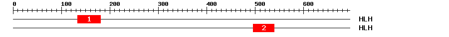 Signature Domain