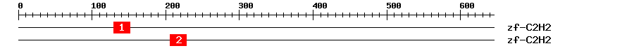 Signature Domain