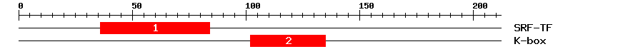 Signature Domain