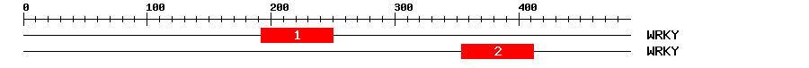 Signature Domain