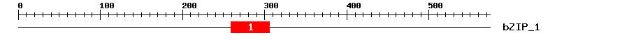 Signature Domain