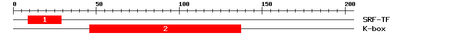 Signature Domain