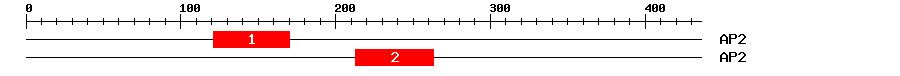 Signature Domain