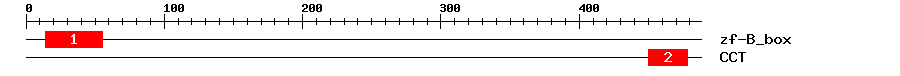 Signature Domain