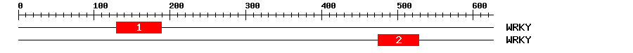 Signature Domain