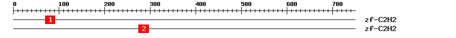 Signature Domain