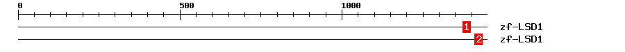 Signature Domain