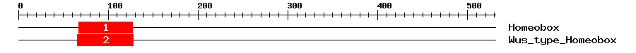 Signature Domain