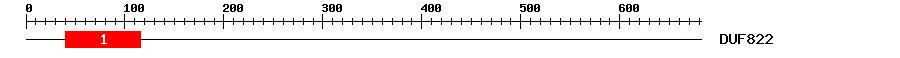 Signature Domain